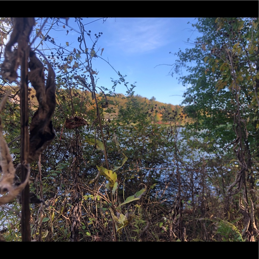 Meet your Posher, Sydney